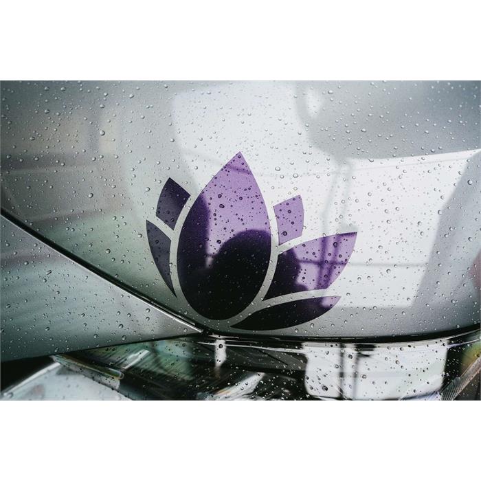 Nanolex WashCoat Sealant